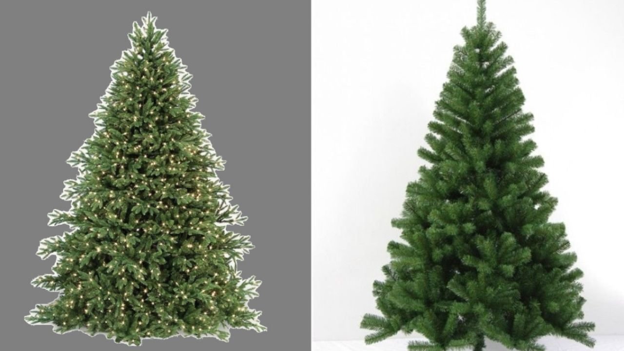 ¿Árbol de Navidad natural o artificial? La UNAM revela los pros y contras de cada uno hacía el medio ambiente