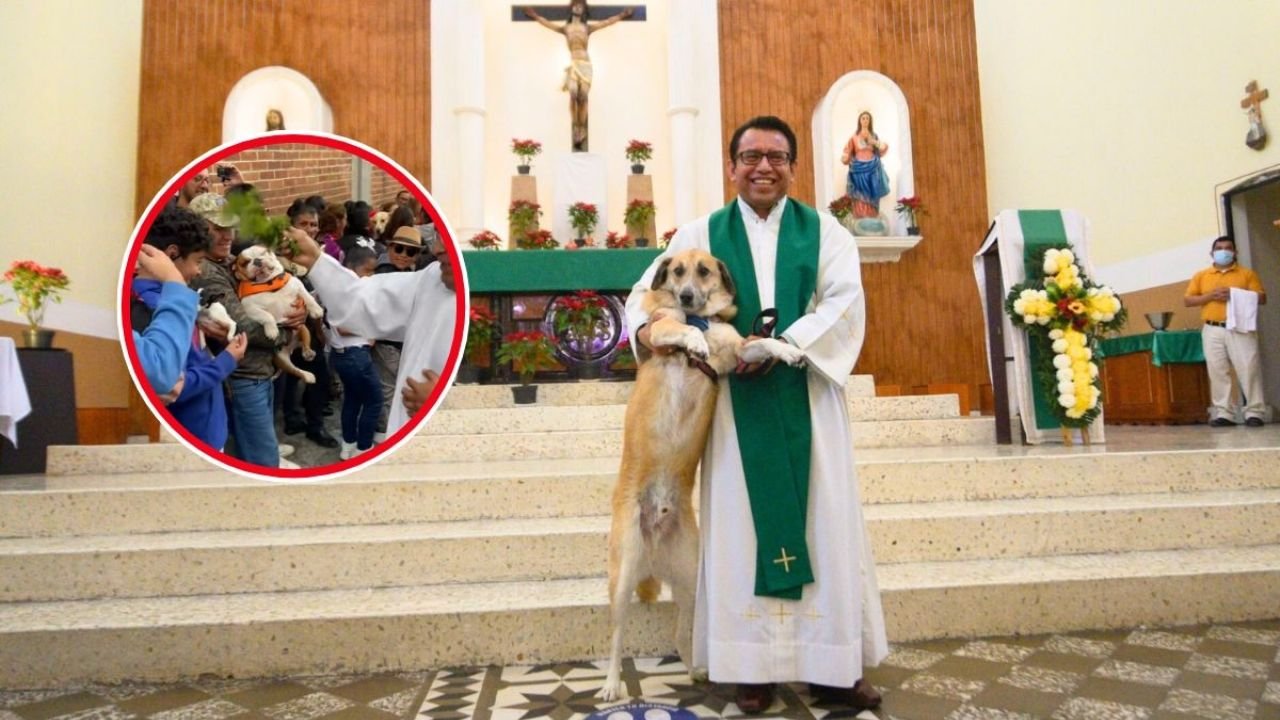 ¿Por qué las iglesias se llenaron de perritos y gatos? La emotiva razón detrás de la bendición de cientos de mascotas | VIDEO