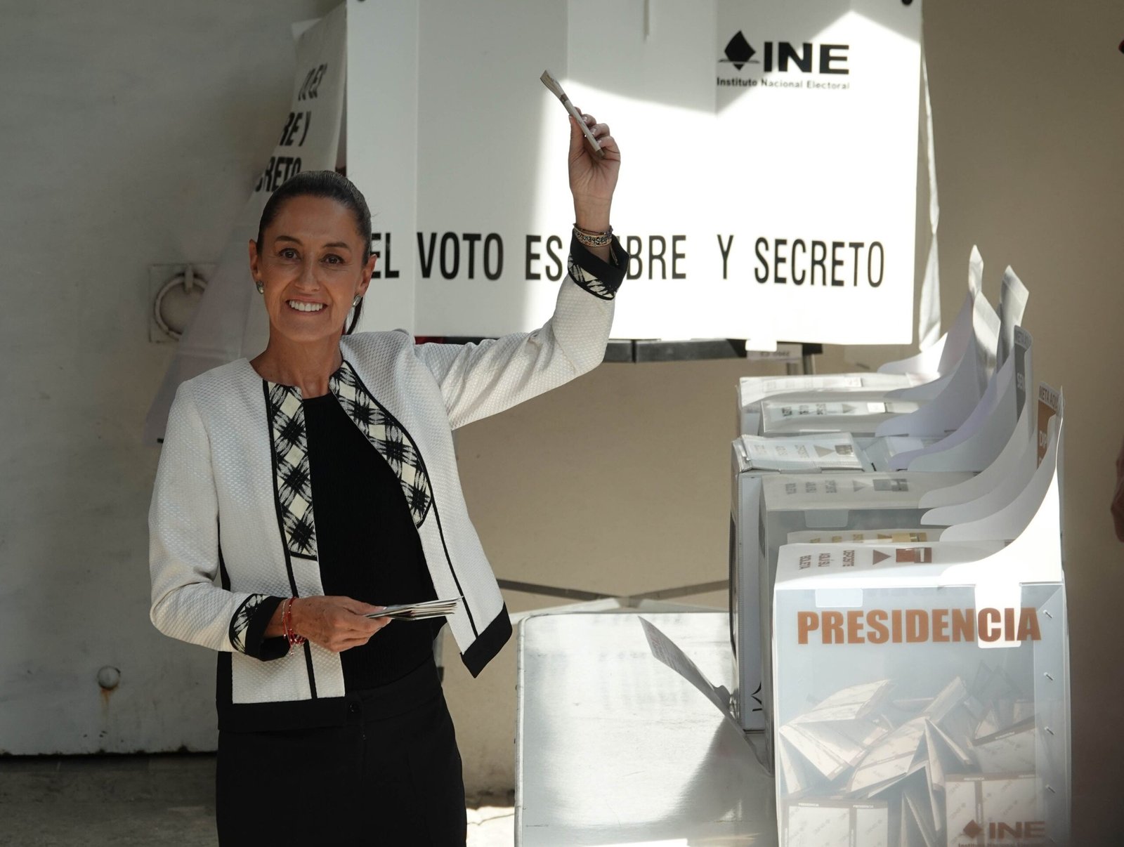 Los candidatos necesarios para la reforma electoral