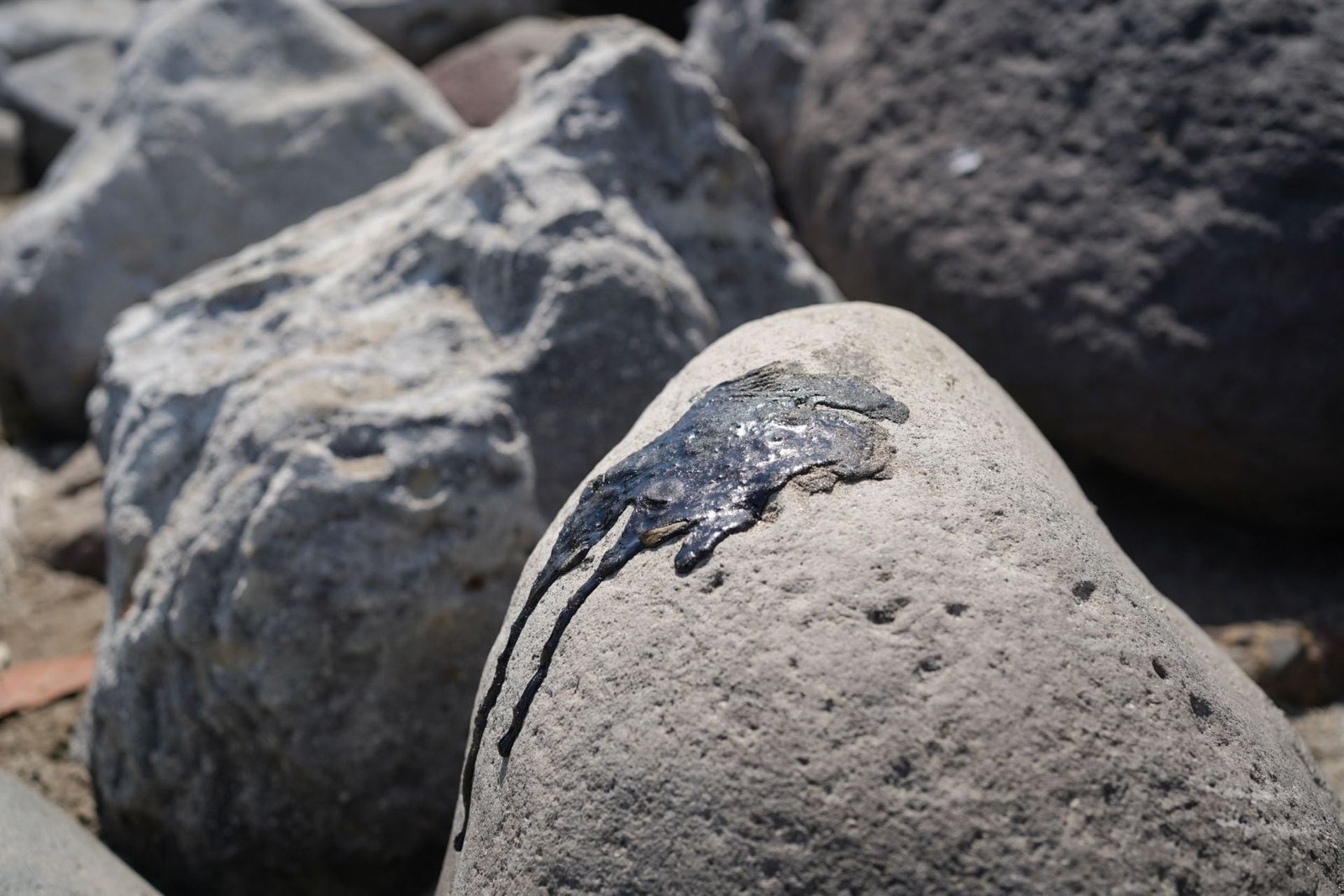 Chapopoteras en el Golfo de México: ¿Qué son y cómo contribuyeron al derrame de hidrocarburos?