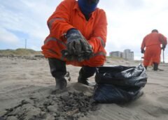 Recolectan más de 825 toneladas de hidrocarburos por derrame en costas del Golfo de México