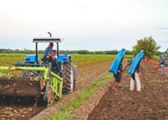 CONPAPA celebra 35 años y llama a reforzar la colaboración para mejorar la sanidad del sector papelero en México