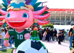 IMPI y CDMX niegan orden para retirar ajolote de inmediaciones del Estadio Ciudad de México